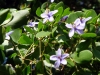 image070