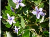 image071
