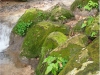 image103