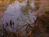 phoca_thumb_l_sany5515