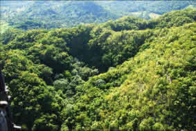 Naturaleza en el Parque Nacional Aniana Vargas