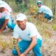Medio Ambiente valora apoyo a plan Quisqueya Verde