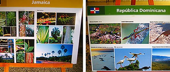 Medio Ambiente inicia exposición sobre el Corredor Biológico en el Caribe