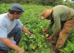 cuba-recibe-nobel-verde cuba recibe nobel verde