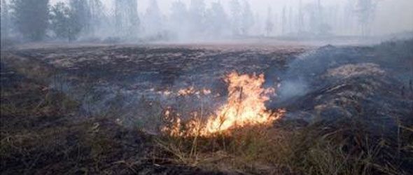 Los incendios forestales arrasan 100.000 hectáreas de bosques en el este de Rusia