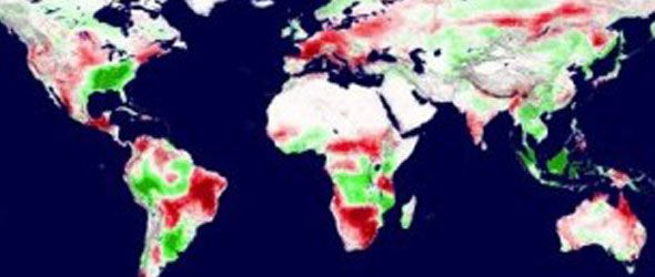 Las sequías reducen la productividad mundial de las plantas