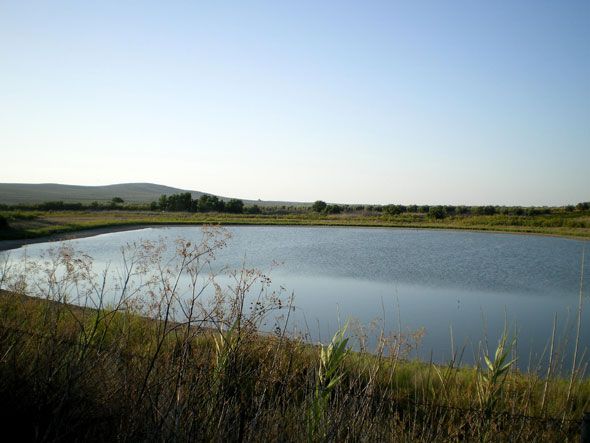 Analizan aguas y especies Laguna de Rincón