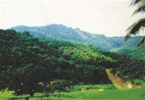 loma_miranda_miercoles
