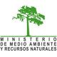 Medio Ambiente somete a tres por caza de tortugas; Rojas Gómez llama la atención sobre protección de especie en extinción
