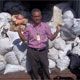 Procuraduría decomisa 26 mil kilos de diferentes especies marinas vetadas