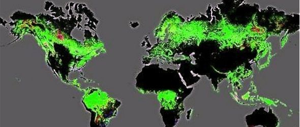 Publican nuevos mapas de la forestación del mundo con alta precisión