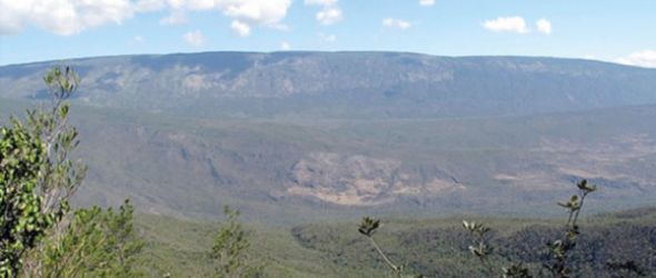 El Parque Nacional Sierra de Bahoruco es el ecosistema más importante para las aves endémicas de nuestra isla.