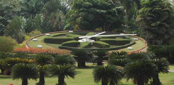 Consultorio Ecológico. En el Jardín Botánico se está utilizando para prácticas pelota