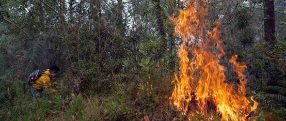 Alcalde de Restauración pide declarar emergencia por fuegos forestales
