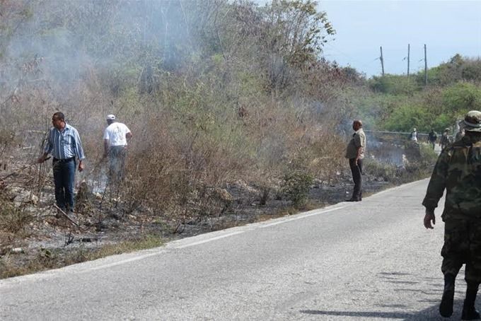 Brigadas tratan de extinguir incendio forestal en la loma El Curro