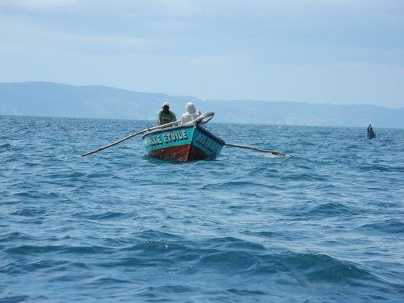 En las costas del norte Haití ahora sólo se pueden pescar peces pequeños.