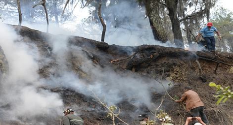 Medio Ambiente denuncia manos criminales provocan este domingo cuatro incendios forestales en Loma Ortega
