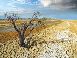 programacambioclimatico