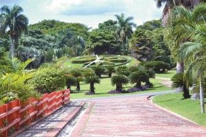 relojjardinbotanico