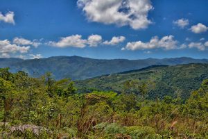 Loma Miranda es una montaña pertenece a la Cordillera Central del República Dominicana, con una longitud de 12.3 Km2. El 27 de agosto del 2014 fue declarada Parque Nacional mediante una ley aprobada por el Congreso Nacional, pero el 2 de septiembre del mismo año, el presidente Danilo Medina, en ejercicio de sus facultades y en apego total a las leyes vigentes, devolvió el proyecto de ley al Congreso, sin promulgar, con varias observaciones. Esta montaña ubicada a 17 Km del centro de La Vega, en las coordenadas 19º 10 latitud norte y 70º 46 longitud oeste. Su altura mayor está localizada a unos 658 metros sobre el nivel del mar. Cordillera Central, La Vega, República Dominicana Foto : Orlando Ramos/Acento.com.do Fecha: 02/10/2014