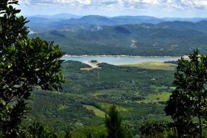 Loma Miranda es una montaña pertenece a la Cordillera Central del República Dominicana, con una longitud de 12.3 Km2. El 27 de agosto del 2014 fue declarada Parque Nacional mediante una ley aprobada por el Congreso Nacional, pero el 2 de septiembre del mismo año, el presidente Danilo Medina, en ejercicio de sus facultades y en apego total a las leyes vigentes, devolvió el proyecto de ley al Congreso, sin promulgar, con varias observaciones. Esta montaña ubicada a 17 Km del centro de La Vega, en las coordenadas 19º 10 latitud norte y 70º 46 longitud oeste. Su altura mayor está localizada a unos 658 metros sobre el nivel del mar. Cordillera Central, La Vega, República Dominicana Foto : Orlando Ramos/Acento.com.do Fecha: 02/10/2014