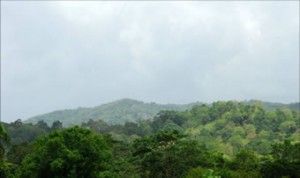 Parque Nacional Aniana Vargas