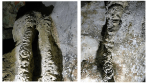 Petroglifos del abrigo de Vinicio