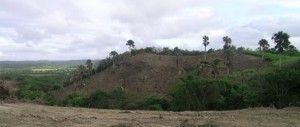 Desmonte Criminal de Bosque en Luperon, Puerto Plata