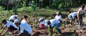 Firma Tropigás reforesta parque Ojo las Américas