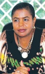 Elsa de León, Viceministra