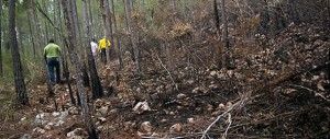 Ministerio Ambiente capacita en prevención y control de incendios forestales