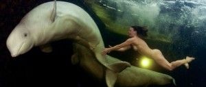 Científica nada desnuda con ballenas en el Mar Blanco