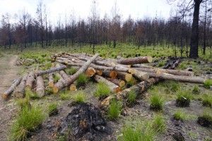 Latitud 18 grados 45.5137′ Norte – Longitud 70 grados 38.1292′ Oeste