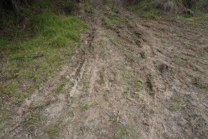Huellas de vehículo pesado que nos alertaron sobre acciones de acopio