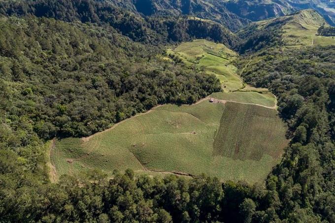 Lo que ocurre en Valle Nuevo es irresponsabilidad política - Acción Verde |  El Portal Ambiental de la República Dominicana